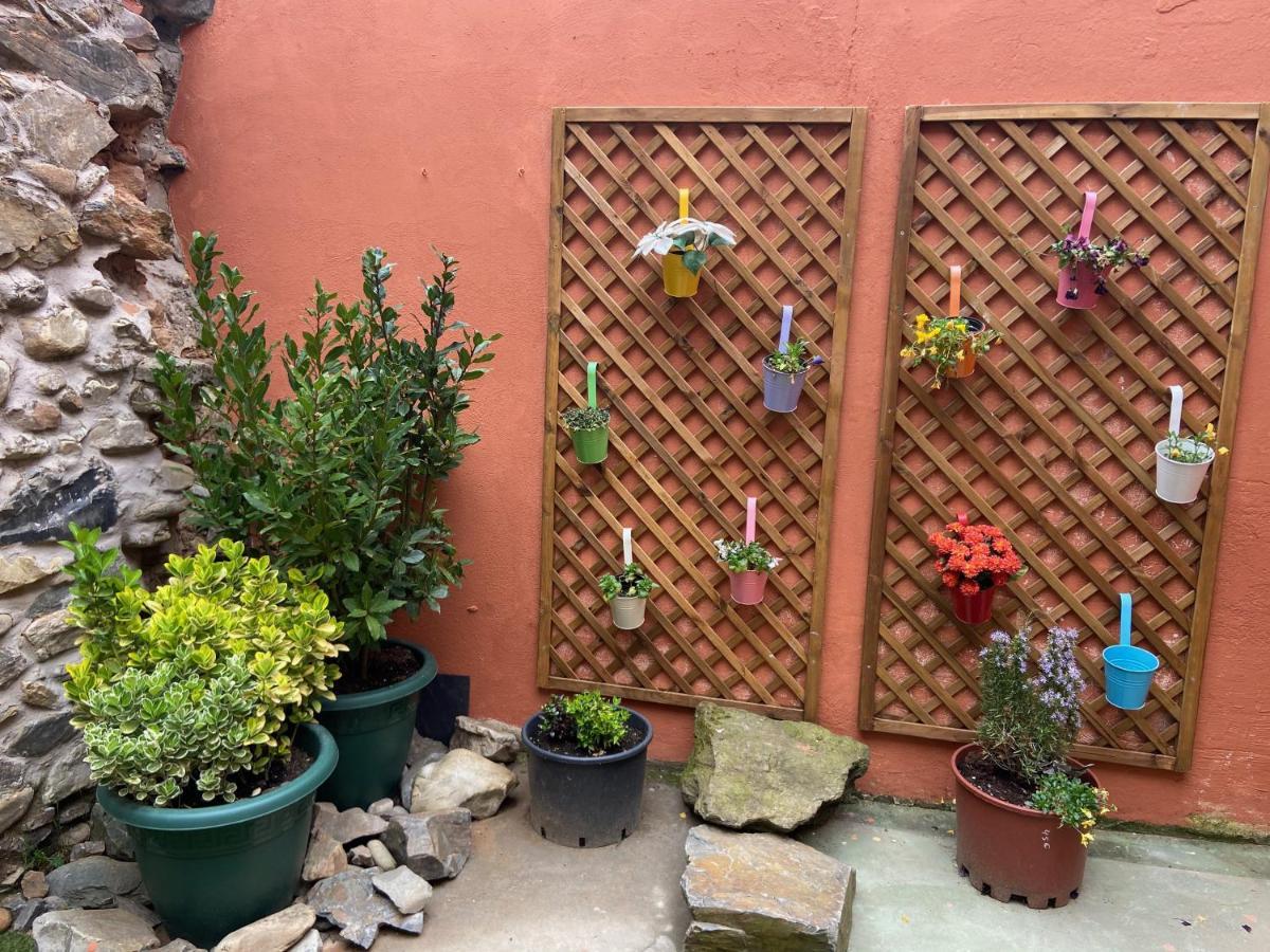 מולינסקה Hostal Casa San Nicolas מראה חיצוני תמונה